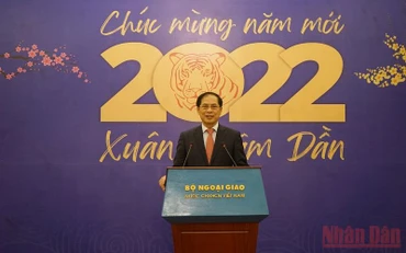 Bộ trưởng Ngoại giao Bùi Thanh Sơn phát biểu ý kiến tại cuộc gặp. (Ảnh: XUÂN TRƯỜNG)