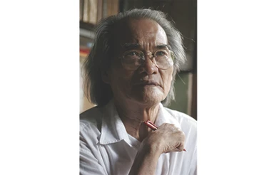 Sơn Tùng, nhà văn anh hùng