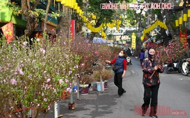 Nhịp sống phố cổ sáng 30 Tết