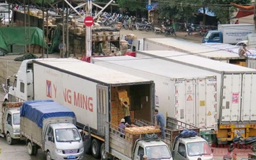 Bốc xếp hàng hóa chuyển qua cửa khẩu Cốc Nam. (ảnh HÙNG TRÁNG)