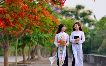 Cây xanh là bản sắc và cảnh quan đô thị