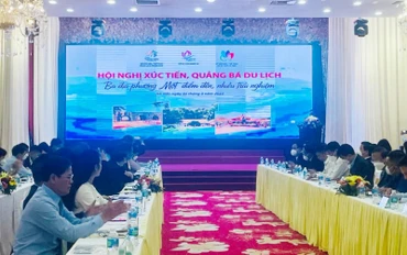 Toàn cảnh Hội nghị.