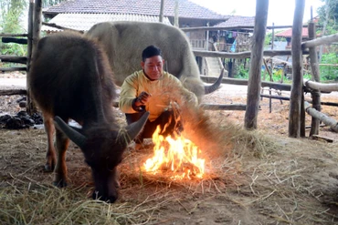 Người dân chủ động giữ ấm, tạo nguồn nhiệt sưởi ấm cho gia súc. (Ảnh minh họa)