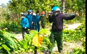 Hiện trường vụ hành hung nhân viên bảo vệ rừng. (Ảnh do công an cung cấp).