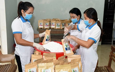Xã viên Hợp tác xã Nam Anh đóng gói sản phẩm tinh bột sắn. Ảnh: TỪ THÀNH