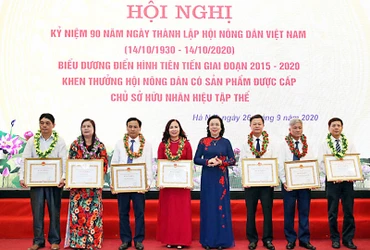 Đồng chí Ngô Thị Thanh Hằng (đứng thứ tư từ phải sang trong ảnh) trao Bằng khen của UBND TP Hà Nội tặng các cá nhân và tập thể xuất sắc.