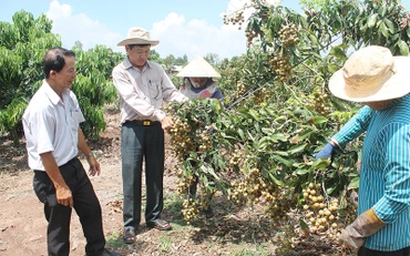 Sóc Trăng đón cơn mưa sau nhiều ngày nắng hạn