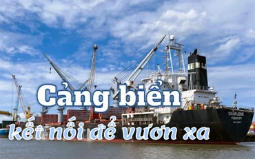 Cảng biển: kết nối để vươn xa