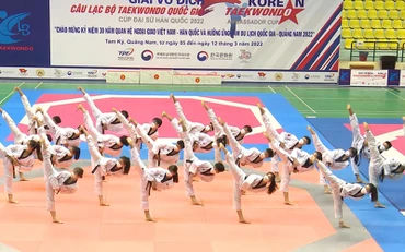 Biểu diễn Taekwondo tại lễ khai mạc.