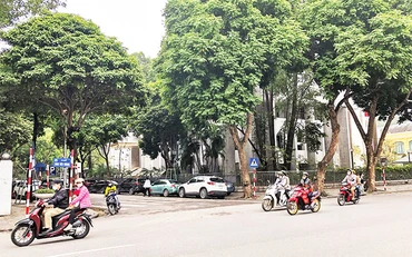 Khu vực dự kiến xây dựng nhà ga C9 nằm bên dưới đường Đinh Tiên Hoàng phía trước Tổng công ty Điện lực Hà Nội và trụ sở HĐND-UBND thành phố Hà Nội. (Ảnh: NGỌC MAI)