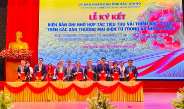 Đại diện Tập đoàn Central Retail ký kết tiêu thụ sản phẩm vài thiều Bắc Giang.