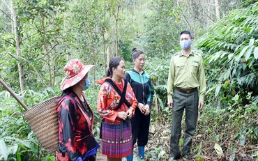 Cán bộ kiểm lâm tuyên truyền biện pháp bảo vệ rừng đến người dân xã Mường Nhé (huyện Mường Nhé, tỉnh Điện Biên).