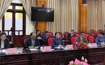 Phó Chủ tịch nước Cộng hòa dân chủ nhân dân Lào Pany Yathotou phát biểu tại buổi làm việc.
