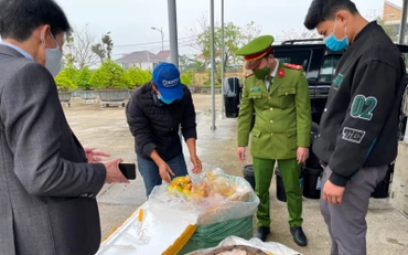 Lực lượng Cảnh sát môi trường, Công an tỉnh Thừa Thiên Huế phát hiện, bắt giữ lô hàng nội tạng không rõ nguồn gốc vận chuyển qua địa bàn.
