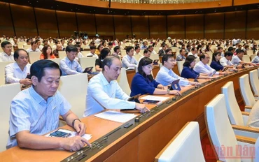 Các đại biểu Quốc hội biểu quyết thông qua Luật sửa đổi, bổ sung một số điều của Luật Sở hữu trí tuệ, sáng 16/6. (Ảnh: LINH KHOA)