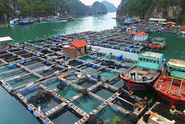 Ảnh minh họa.