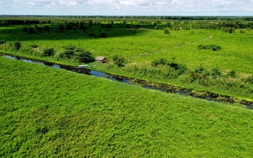 Hệ sinh thái ngập nước, đầm lầy than bùn còn lại ở Việt Nam rất quý hiếm tại Vườn Quốc gia U Minh Thượng. (Ảnh: MekongDeltaExplorer)