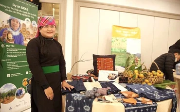 Cô gái Tày Lồ Thị Hạnh, người sáng lập Hợp tác xã Mường Bo Xanh và thương hiệu Tày Indigo. 