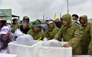 Lãnh đạo Bộ NN&PTNT, tỉnh Thừa Thiên Huế và Đoàn công tác tiến hành thả cá tái tạo nguồn lợi thủy sản. Ảnh: HN