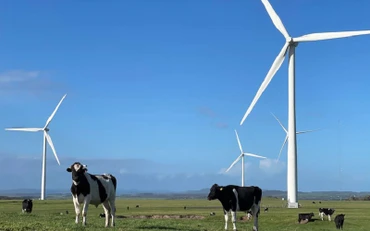 Quá trình khử carbon nhanh chóng hệ thống điện đóng vai trò quan trọng cho sự thành công của quá trình chuyển đổi năng lượng sạch. (Ảnh: ABC)