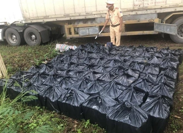 Bắt giữ xe container chở 462 chai rượu ngoại lậu