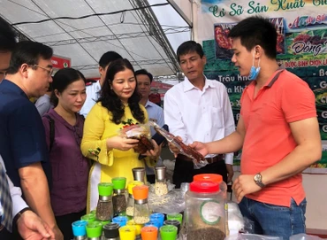 Chương trình Tuần hàng Việt TP Hà Nội năm 2020 tổ chức tại thị xã Sơn Tây (Hà Nội).