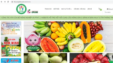 Giao diện trang thông tin đăng ký kết nối cung cầu nông sản.