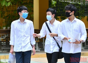Ảnh minh họa: THỦY NGUYÊN