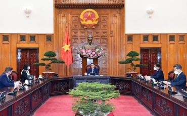 Thủ tướng Chính phủ Phạm Minh Chính tiếp Đại sứ Romania. (Ảnh: NHẬT BẮC)