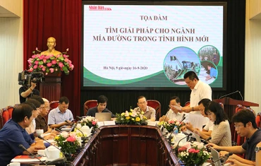 Tọa đàm trực tuyến “Tìm giải pháp cho ngành mía đường trong tình hình mới”
