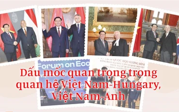 Dấu mốc quan trọng trong quan hệ Việt Nam-Hungary, Việt Nam-Anh