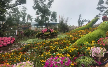 Khu du lịch Quốc gia núi Bà Đen (Tây Ninh) trong dịp khai trương.