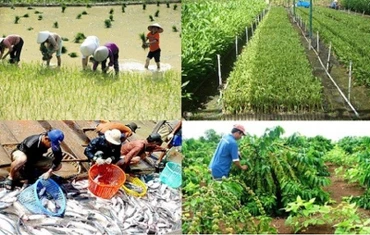 Nông nghiệp là một trong những ngành bị ảnh hưởng nghiêm trọng bởi đại dịch Covid-19.