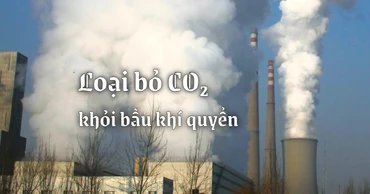 Loại bỏ CO2 khỏi bầu khí quyển