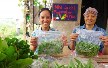 Tổ chức Rikolto của Bỉ hợp tác với các đối tác, tổ chức trong nước giúp nông dân xây dựng năng lực sản xuất và quảng bá rau an toàn (Ảnh minh họa: Rikolto Việt Nam).