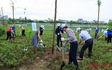 Khởi động chương trình “Toyota chung tay xanh hóa học đường”.