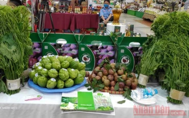 Mận tam hoa Bắc Hà và nhiều nông sản được bày bán tại Trung tâm Trung tâm Xúc tiến thương mại Nông nghiệp.