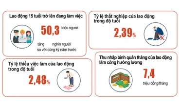 Một số chỉ tiêu về lao động-việc làm sáu tháng đầu năm 2022 (Ảnh: GSO).