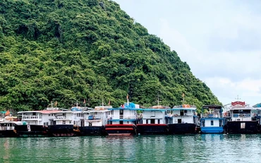 Tàu thuyền về neo đậu tránh trú bão trong vịnh Cát Bà.