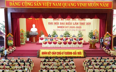 Phiên làm việc sáng 15-10, Đại hội Đảng bộ tỉnh Sóc Trăng lần thứ 14.