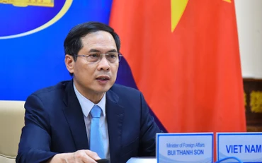 Bộ trưởng Ngoại giao Bùi Thanh Sơn. (Ảnh: Báo Thế giới và Việt Nam)