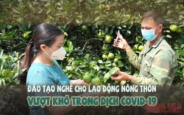 Đào tạo nghề cho lao động nông thôn vượt khó trong dịch Covid-19