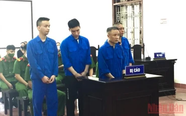 Các bị cáo tại phiên tòa.