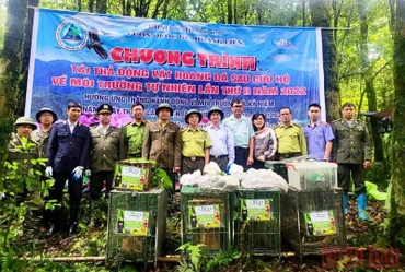 Thả 20 cá thể động vật hoang dã về môi trường tự nhiên ở Vườn quốc gia Hoàng Liên (Lào Cai).