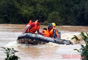 Hai du khách bám vào cành cây giữa dòng lũ dữ được giải cứu.