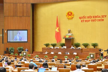 Xem xét thí điểm tổ chức mô hình chính quyền đô thị tại TP Đà Nẵng