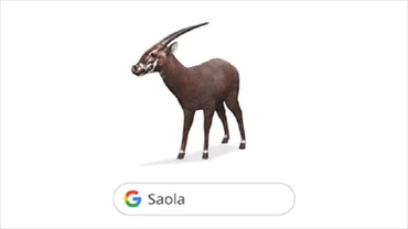 Ngày 9/7, Google ra mắt mô hình Thực tế tăng cường (AR) 3D của Sao la trên Google Tìm kiếm.