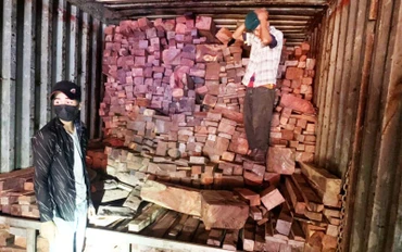 Tang vật gỗ lậu bị thu giữ.