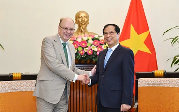 Bộ trưởng Ngoại giao Bùi Thanh Sơn tiếp Quốc Vụ khanh Bộ Ngoại giao Thụy Điển Robert Rydberg. (Ảnh: baoquocte.vn)