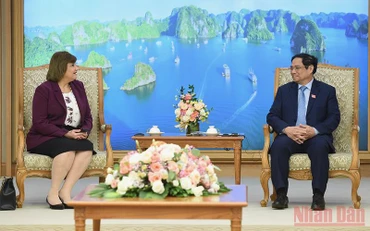 Thủ tướng Phạm Minh Chính tiếp Đại sứ Ai Cập tại Việt Nam Amal Abdel Kader Elmorsi Salama. 